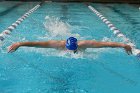 Swimming vs Bentley  Wheaton College Swimming & Diving vs Bentley College. - Photo by Keith Nordstrom : Wheaton, Swimming & Diving
